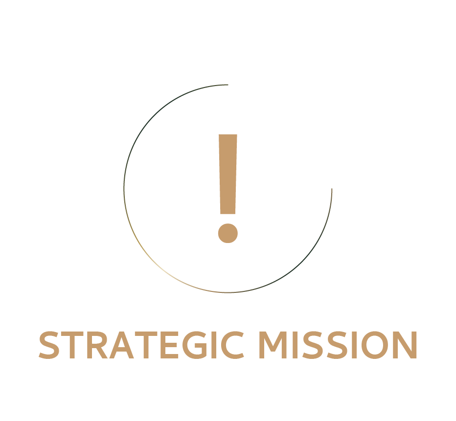 Strategic Mission-06
